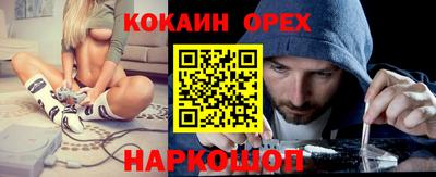 гидра Гай