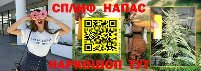 эйфоретик Гатчина