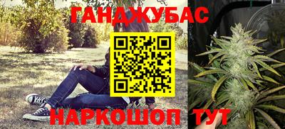 PSILOCYBIN Гагарин