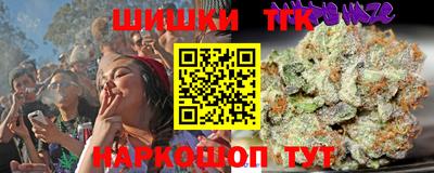 гидра Гай