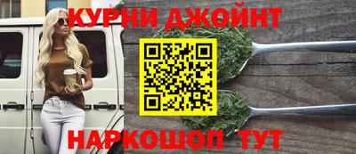 гидра Гай