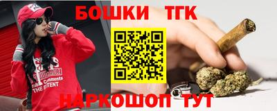 гидра Гай