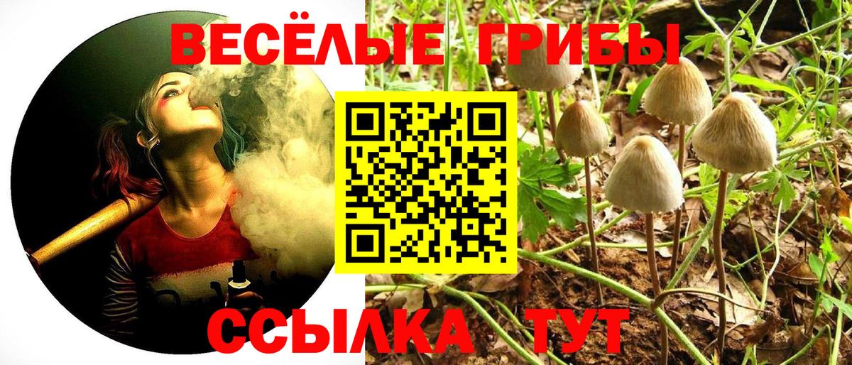 Галлюциногенные грибы мицелий  Вход с VPN  Галлюциногенные грибы Psilocybine cubensis  Рыбинск 