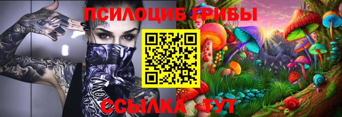 Галлюциногенные грибы Magic Shrooms Рыбинск
